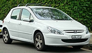 Шины на Peugeot 307 2001