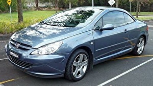 Шины на Peugeot 307 2003