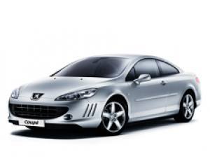 Шины на Peugeot 407 2009