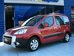 Шины на Peugeot Partner Tepee 2009