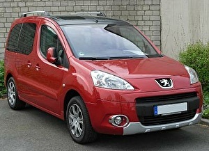 Шины на Peugeot Partner Tepee 2010