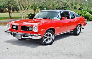 Шины на Pontiac GTO 1974