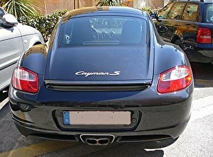 Шины на Porsche Cayman 2005