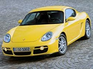 Шины на Porsche Cayman 2008