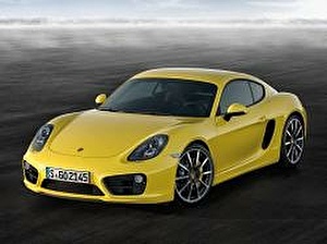 Шины на Porsche Cayman 2016