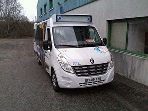 Шины на Renault Master 2013