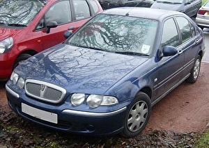 Шины на Rover 45 2006