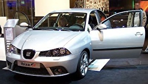 Шины на Seat Ibiza 2006