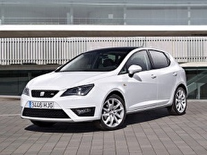 Шины на Seat Ibiza 2009