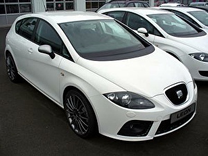 Шины на Seat Leon 2008