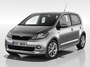 Шины на Skoda Citigo 2011