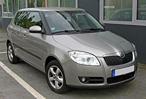 Шины на Skoda Fabia 2009