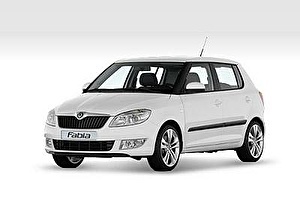 Шины на Skoda Fabia 2011