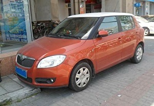 Шины на Skoda Fabia 2012