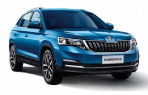 Шины на Skoda Kamiq 2018