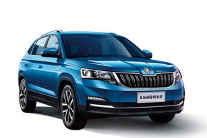 Шины на Skoda Kamiq 2021