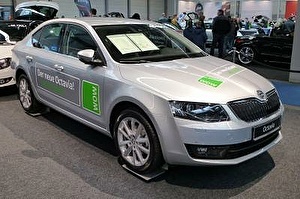 Шины на Skoda Octavia Scout 2010