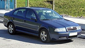 Шины на Skoda Octavia Tour 2009