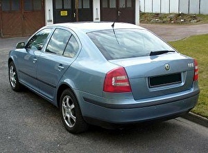 Шины на Skoda Octavia 2008