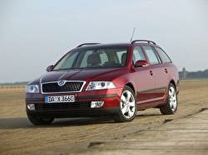 Шины на Skoda Octavia 2010