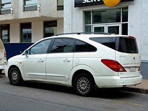 Шины на Ssang Yong Rodius 2008