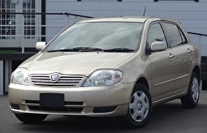 Шины на Toyota Allex 2001