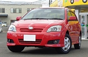 Шины на Toyota Allex 2004