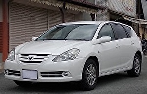 Шины на Toyota Caldina 2007