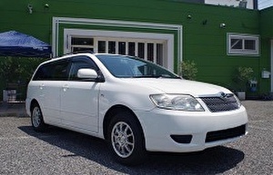 Шины на Toyota Corolla Fielder 2004