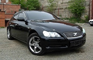 Шины на Toyota Mark X 2004